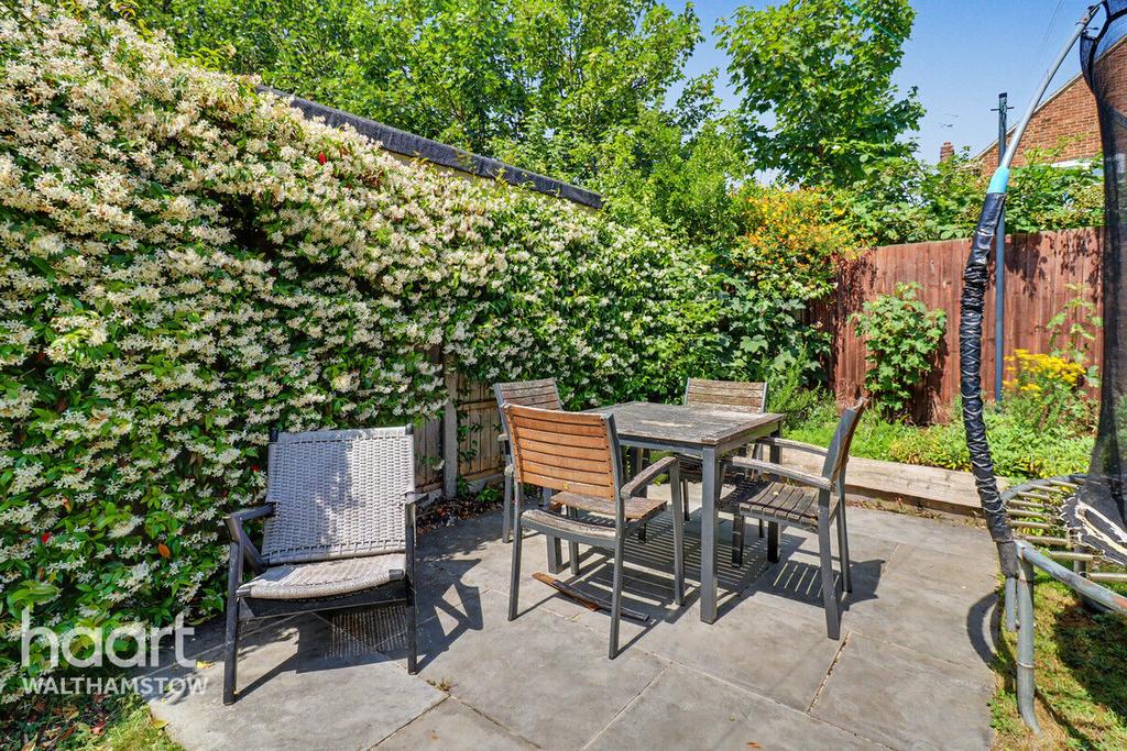 Patio view, garden