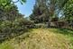 Highland Road, Bromley photo 5