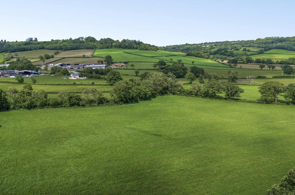 Awliscombe, Honiton, Devon, EX14 Land for sale - Sale by tender