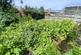 Additional image 10 of Norfolk Road, Moorside, Consett, Durham, DH8 8DD