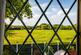 Additional image 24 of Vicars Hall Lane, Boothstown, M28