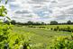 Cozens Road, Ware SG12 photo 4