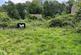 Bozeat, Northants, NN29 photo 4
