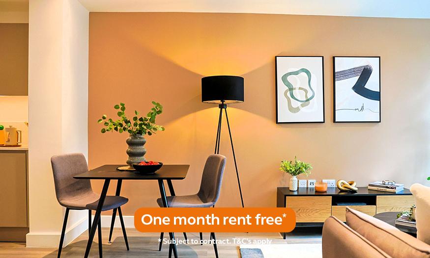 1 bedroom apartment to rent