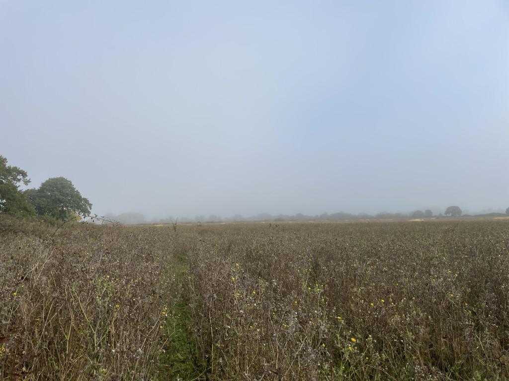 Land off, Long Causeway, Wentworth, Ely, Cambridgeshire CB6 3QE - View 5