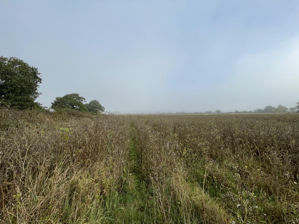 Land off, Long Causeway, Wentworth, Ely, Cambridgeshire CB6 3QE - More