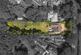 Additional image 3 of Widmore, Wooburn Common, Buckinghamshire, HP10 0JG