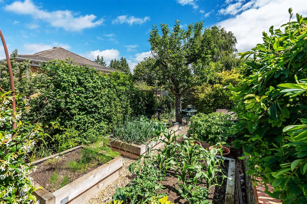 Garden view, garden