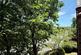 Additional image 15 of Whitecross Gardens, Huntington Road