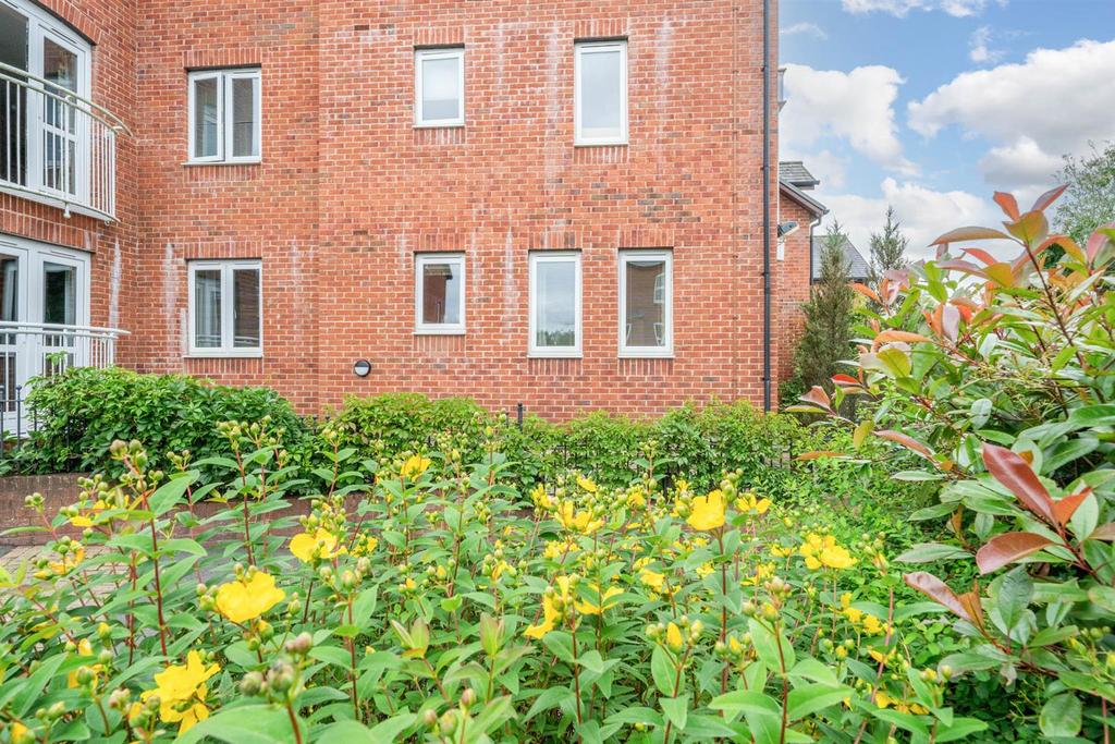 Garden view, garden