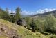 Wrae Hill Wood, Wrae Hill, Broughton, Scottish Borders ML12