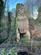 Additional image 21 of Sandpits Close, Curdworth, Sutton Coldfield, Warwickshire, B76