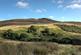 Additional image 23 of Morvich Estate, Rogart, Sutherland, IV28