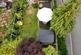 Additional image 13 of St. Aubin Drive, Telford, Shropshire, TF4 2GY