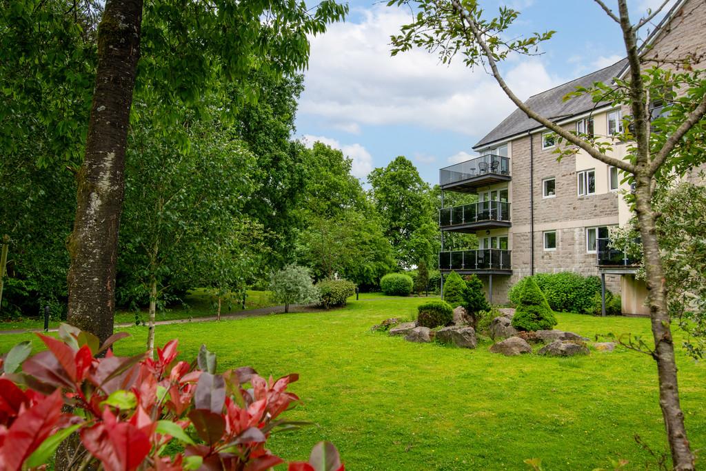 Rear Gardens