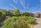 Fulton Drive, Coalville photo 3