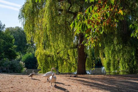 Meadlands Drive, Richmond, TW10