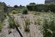 Tregonissey Road, St. Austell photo 5