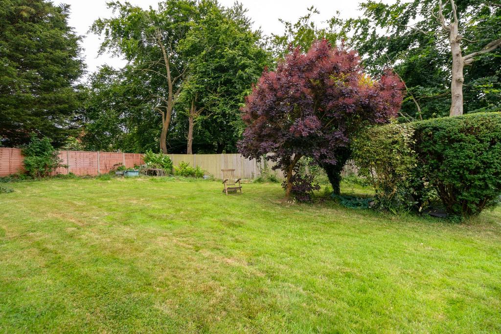 Garden view, garden