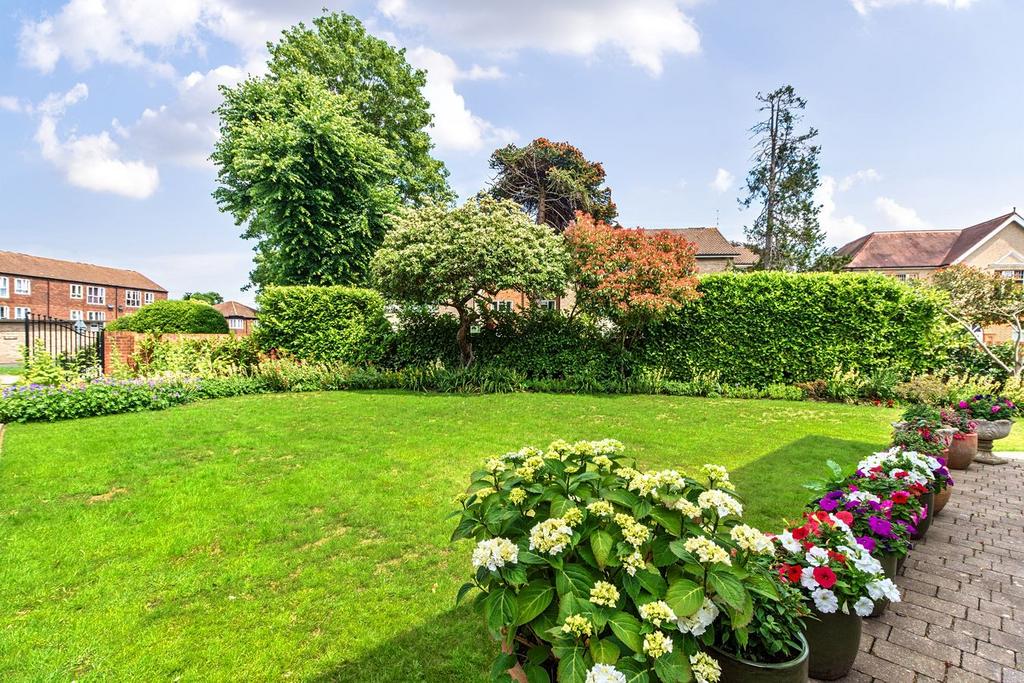 Garden view, garden