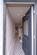 Queens Road, Comrie PH6 photo 2