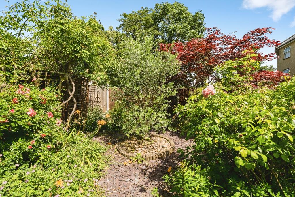 Garden view, garden