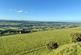17.18 Acres Approx, West Witton photo 3