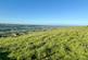 17.18 Acres Approx, West Witton photo 4