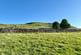 17.18 Acres Approx, West Witton photo 5