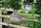 Additional image 8 of Knowle Lane, Dunster, Minehead
