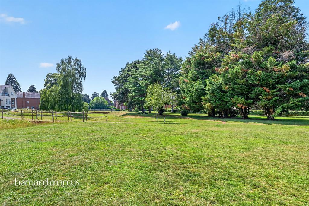 Garden view, garden