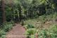 Additional image 13 of Woodland View, St. Austell PL26