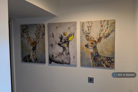 undefined, Atlas Mill, Bolton, BL1