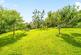 St. Nicholas Street, Bodmin, Cornwall, PL31 photo 2