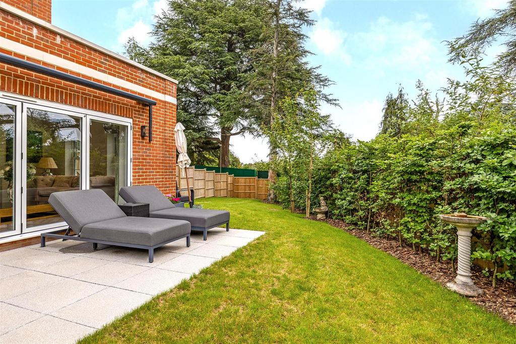 Patio view, garden