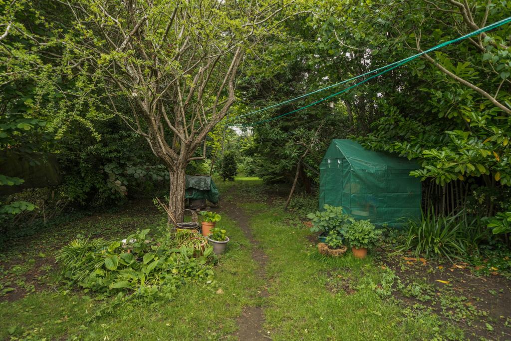 1478305-19-6a2bed...