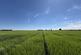Additional image 16 of Hutton Cranswick, Near Driffield