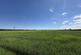 Additional image 17 of Hutton Cranswick, Near Driffield