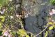 Additional image 33 of Gorffwysfa, High Street, Harlech