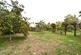 Additional image 5 of Hereward Avenue, Mildenhall, Bury St. Edmunds, Suffolk, IP28