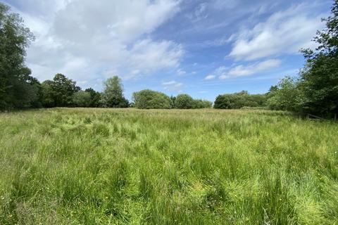 Farm land for sale, 1.82 Ha (4.50 Ac) Amenity Land, Berry Hall Road, Barton Turf, Norwich, Norfolk, NR12