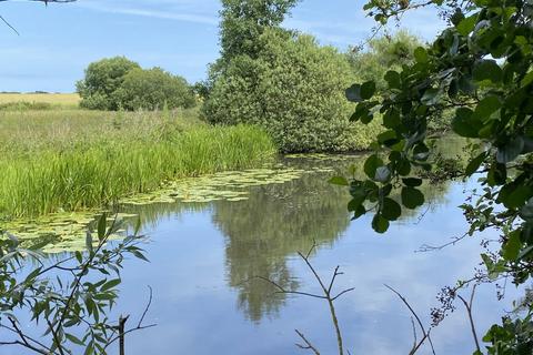 Farm land for sale, 1.82 Ha (4.50 Ac) Amenity Land, Berry Hall Road, Barton Turf, Norwich, Norfolk, NR12