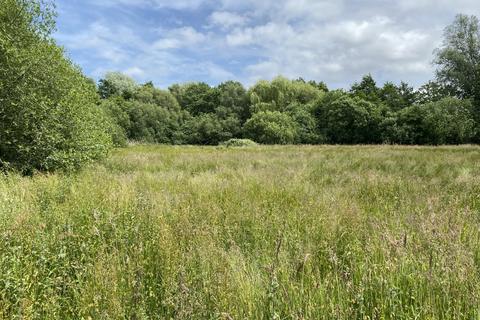 Farm land for sale, 1.82 Ha (4.50 Ac) Amenity Land, Berry Hall Road, Barton Turf, Norwich, Norfolk, NR12