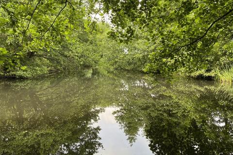 Farm land for sale, 1.82 Ha (4.50 Ac) Amenity Land, Berry Hall Road, Barton Turf, Norwich, Norfolk, NR12