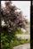 Additional image 14 of River Cottage, Presteigne, Powys