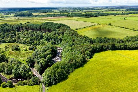 Land for sale, Penton Linns Woodland, Canonbie, Dumfries and Galloway, DG14