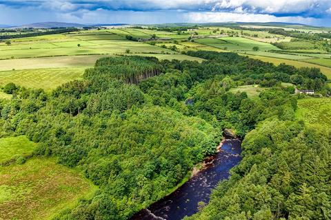 Land for sale, Penton Linns Woodland, Canonbie, Dumfries and Galloway, DG14