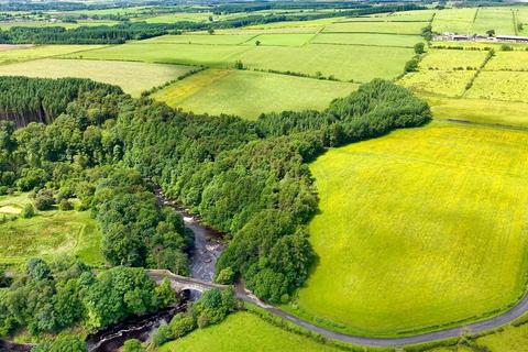 Land for sale, Penton Linns Woodland, Canonbie, Dumfries and Galloway, DG14