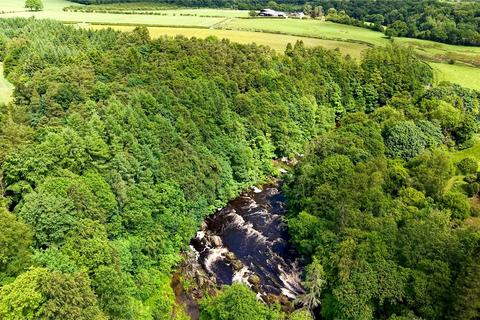 Land for sale, Penton Linns Woodland, Canonbie, Dumfries and Galloway, DG14