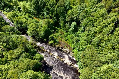 Land for sale, Penton Linns Woodland, Canonbie, Dumfries and Galloway, DG14